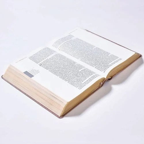 Biblia Ama a Dios Grandemente NBLA Tapa Flexible Oro Rosa PERSONALIZADA con Nombre + Tabs
