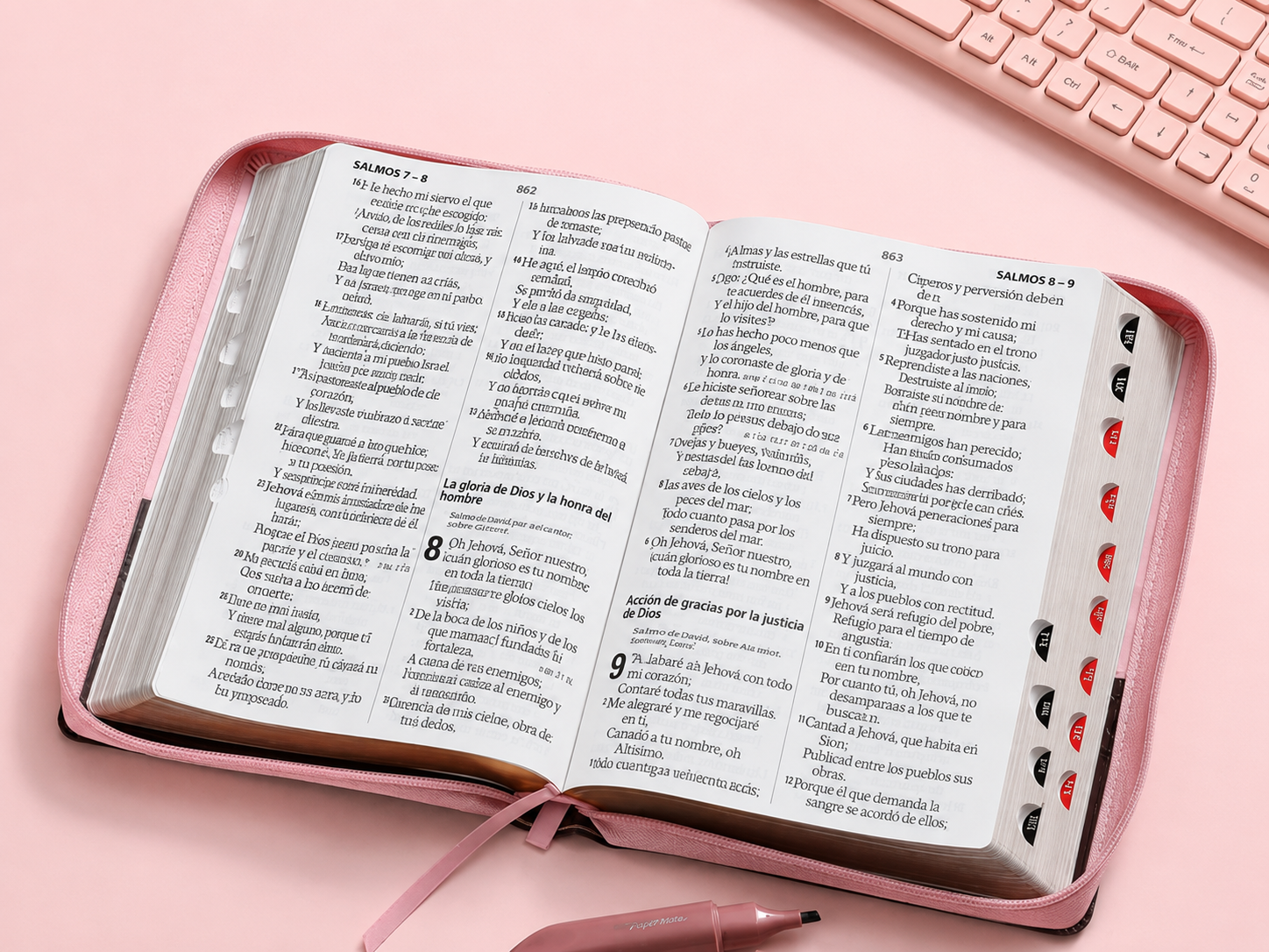Biblia Rosada Marron con pestañas🩷-cierre /letra 19 puntos / Canto dorado