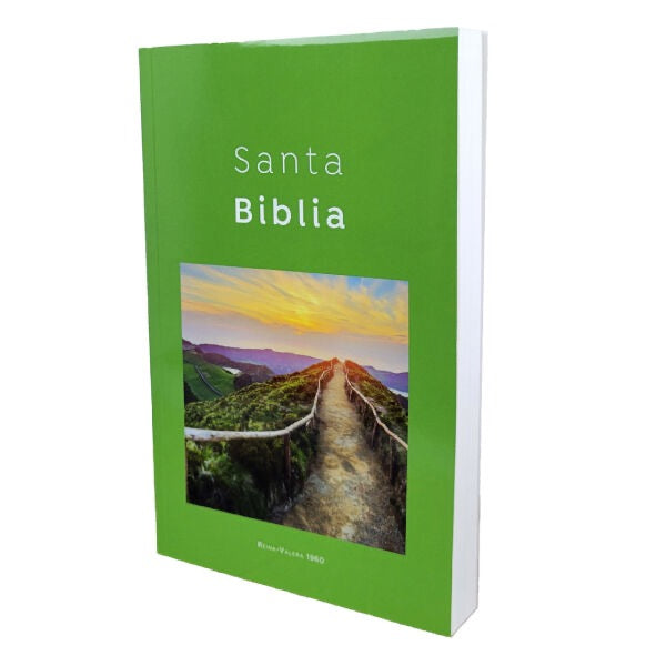 Biblia Economica RVR 1960