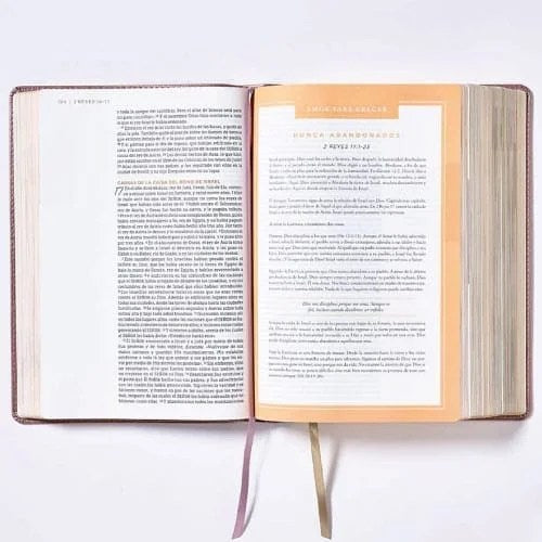Biblia Ama a Dios Grandemente NBLA Tapa Flexible Oro Rosa PERSONALIZADA con Nombre + Tabs