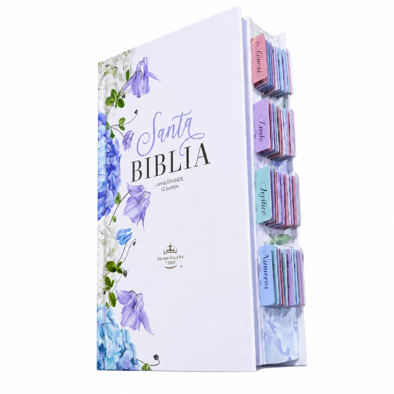 Biblia PERSONALIZADA con Nombre + Tabs Reina Valera 1960 Letra GRANDE Lila con Liga