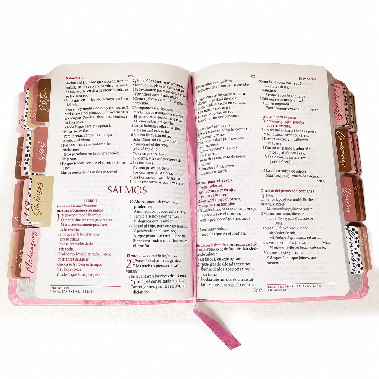 Biblia Reina Valera 1960 Fuente de Bendición Rosa PERSONALIZADA con Nombre + Tabs