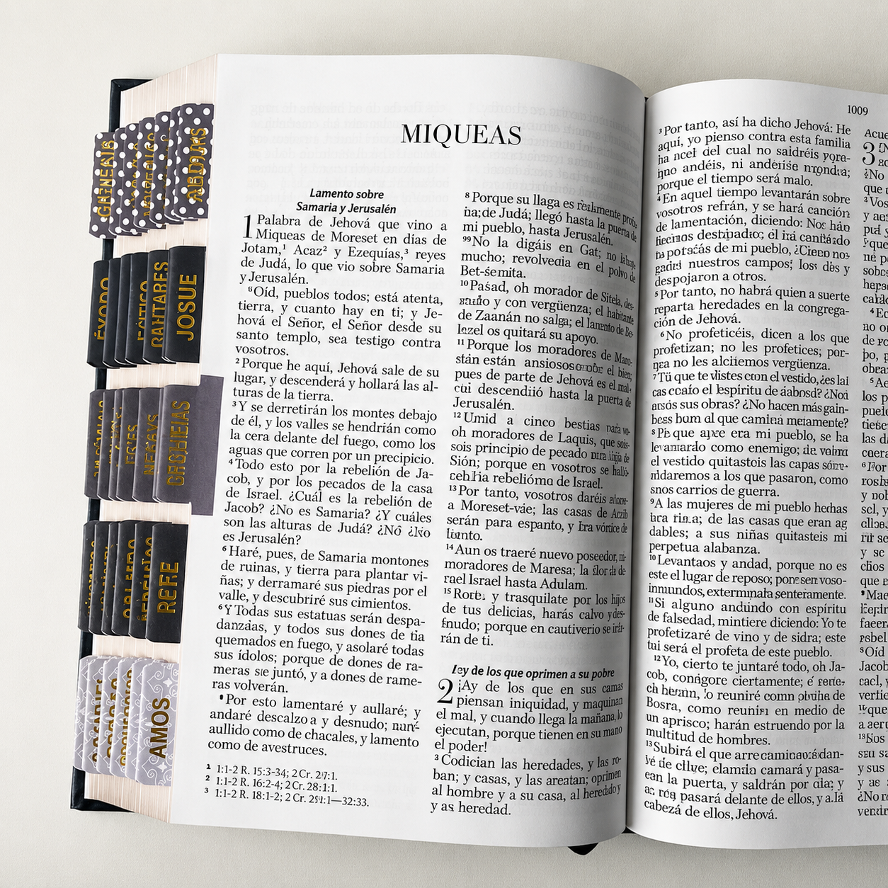 Biblia PERSONALIZADA León Deluxe Reina Valera 1960 Letra GRANDE con Liga